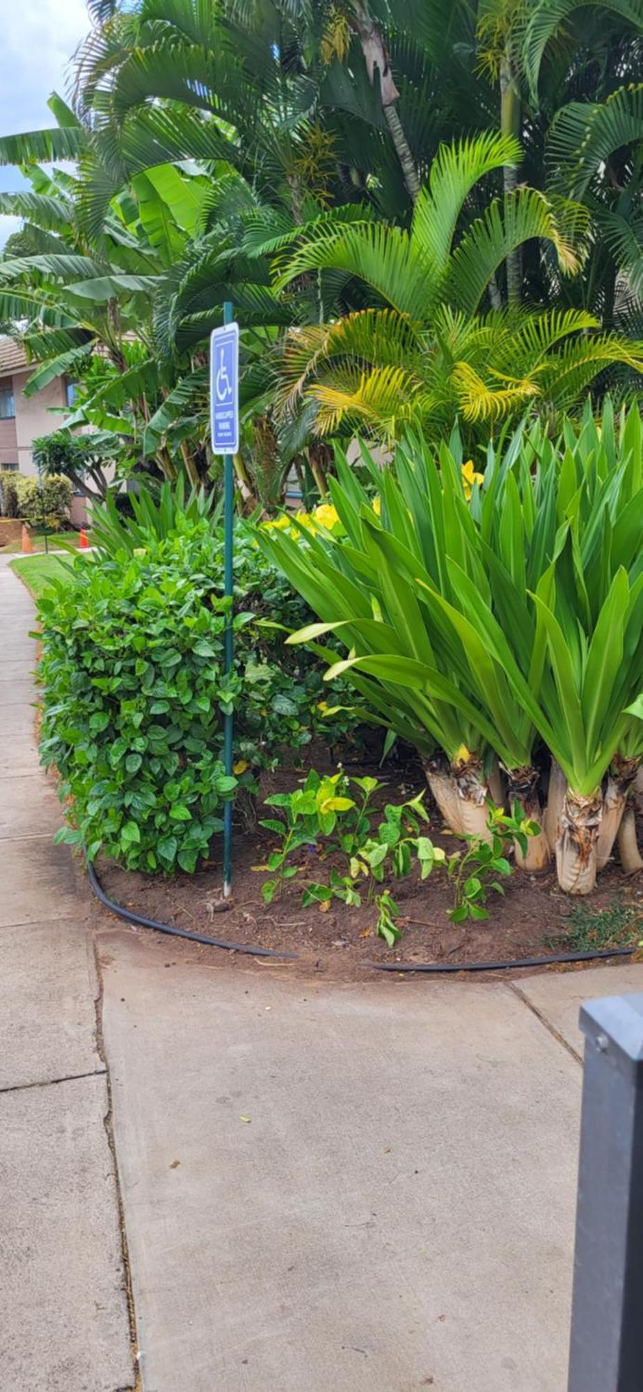 Kihei Kai Nani Resort Екстер'єр фото