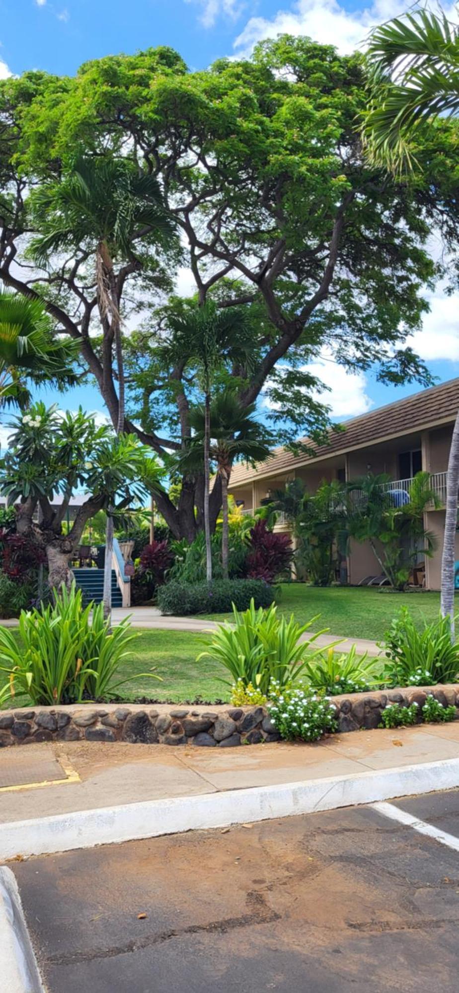Kihei Kai Nani Resort Екстер'єр фото